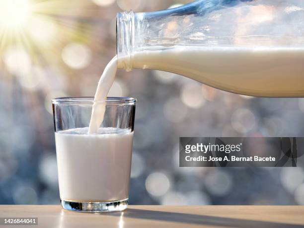 milk bottle filling a glass for breakfast lit by sunlight. - yogurt cup stock pictures, royalty-free photos & images