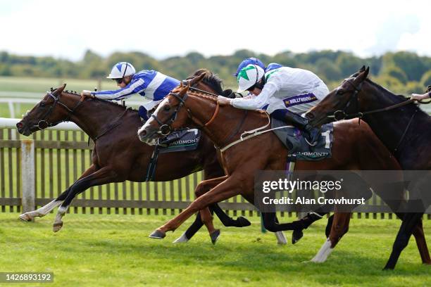 David Probert riding The Foxes win The Juddmonte Royal Lodge Stakes at Newmarket Racecourse on September 24, 2022 in Newmarket, England.