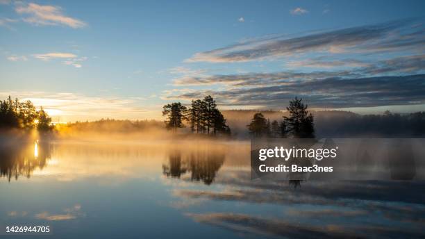 lake and forest covered in morning mist - sunrise over water stock pictures, royalty-free photos & images