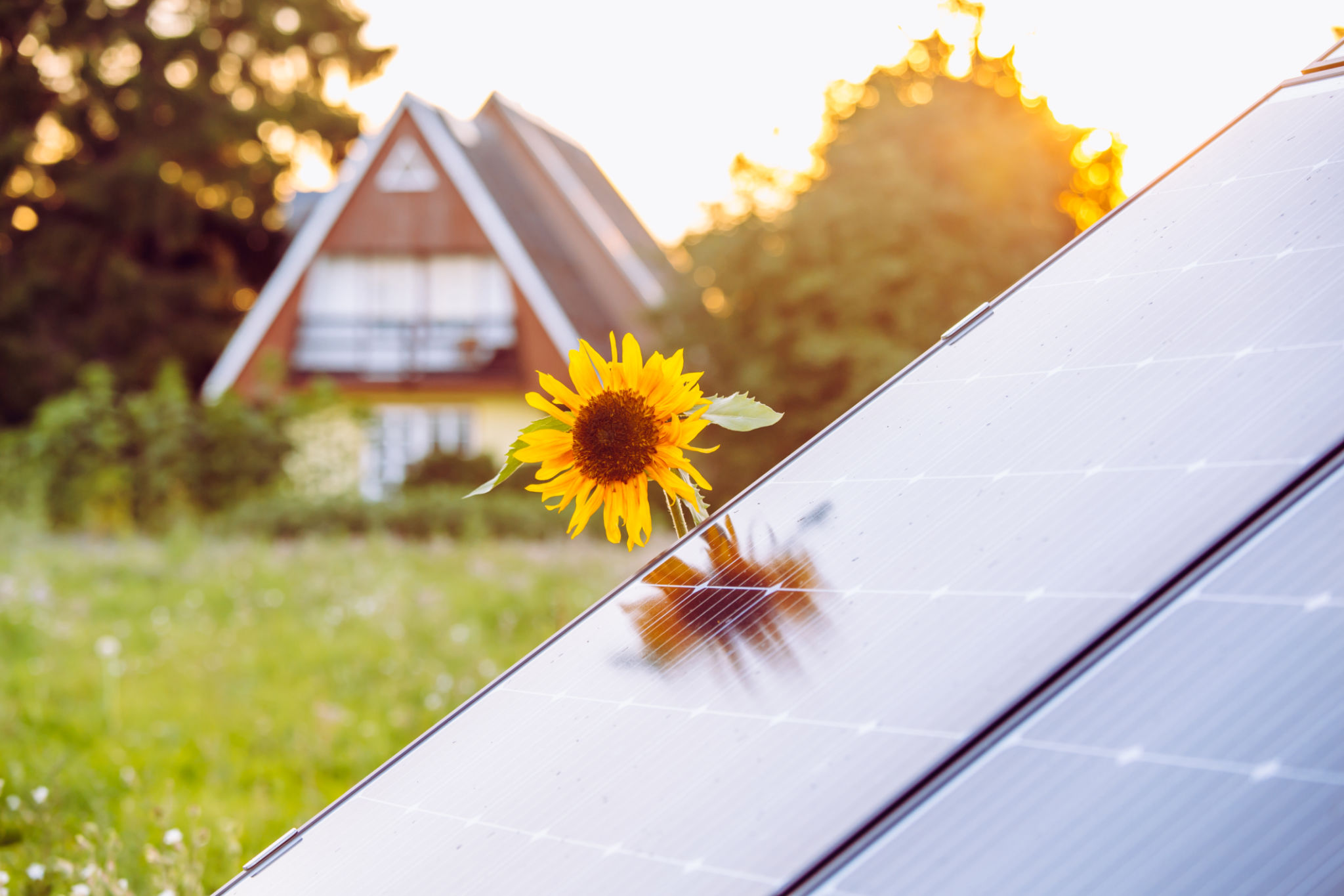 tiny home solar
