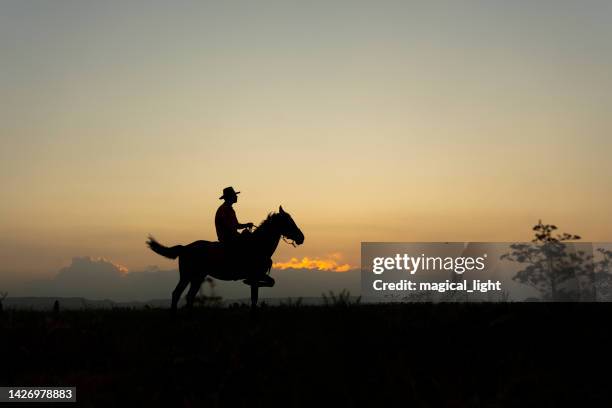 die silhouette eines cowboys zu pferd bei sonnenuntergang auf einem hintergrund - pferdeartige stock-fotos und bilder