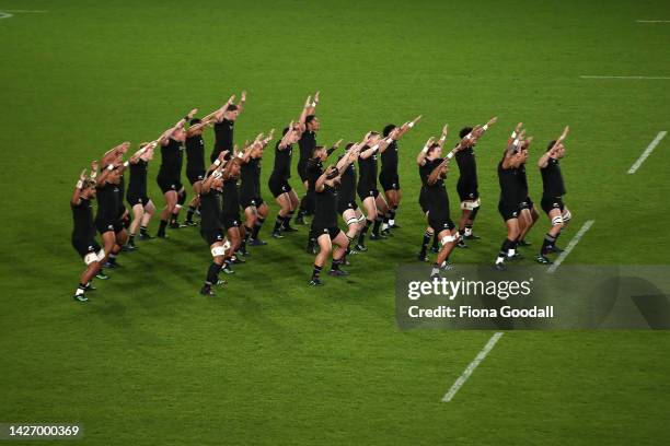 The All Blacks perform the haka during The Rugby Championship and Bledisloe Cup match between the New Zealand All Blacks and the Australia Wallabies...