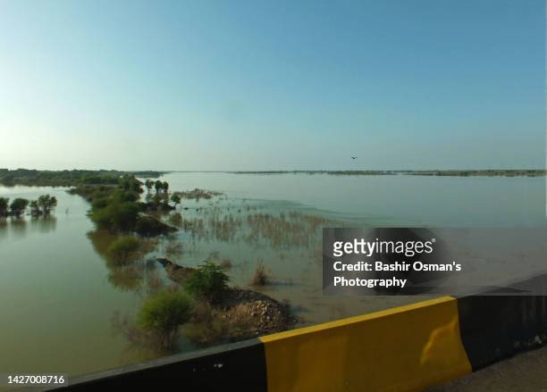 land submerged with the flood - indus river pakistan stock pictures, royalty-free photos & images
