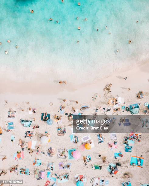 drone beach summer scene - aerial beach view sunbathers stock pictures, royalty-free photos & images