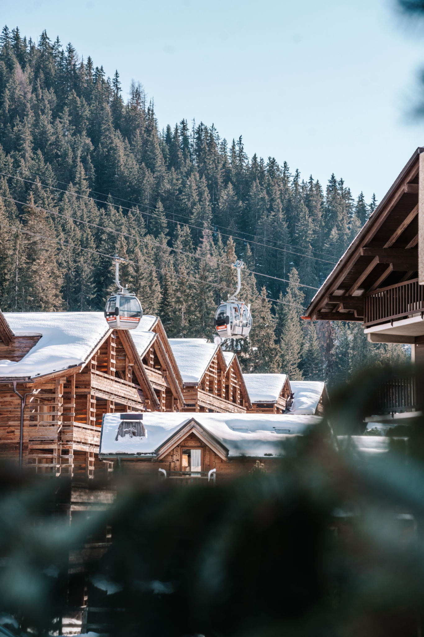 skiing Alps