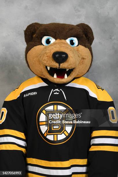 Blades of the Boston Bruins poses for his official headshot for the 2022-2023 season on September 23, 2022 at WGBH in Boston, Massachusetts.