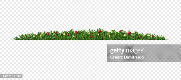 weihnachten und neujahr realistische vektorgirlande. tannenbaum-designelement mit glitzer, goldenen sternen und stechpalmenbeeren. - üppig allgemein beschreibender begriff stock-grafiken, -clipart, -cartoons und -symbole