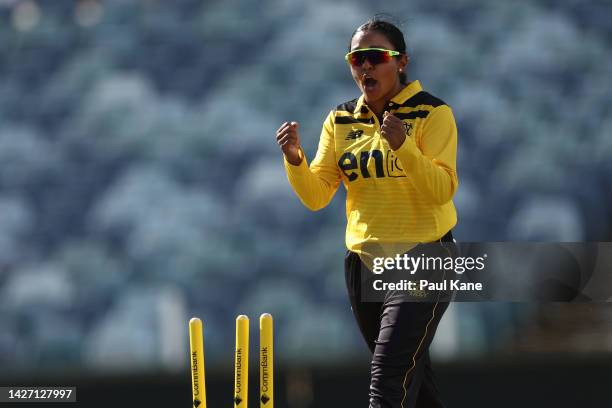 Alana King of Western Australia celebrates the wicket of Matilda Lugg of the ACT Meteors during the WNCL match between Western Australia and...