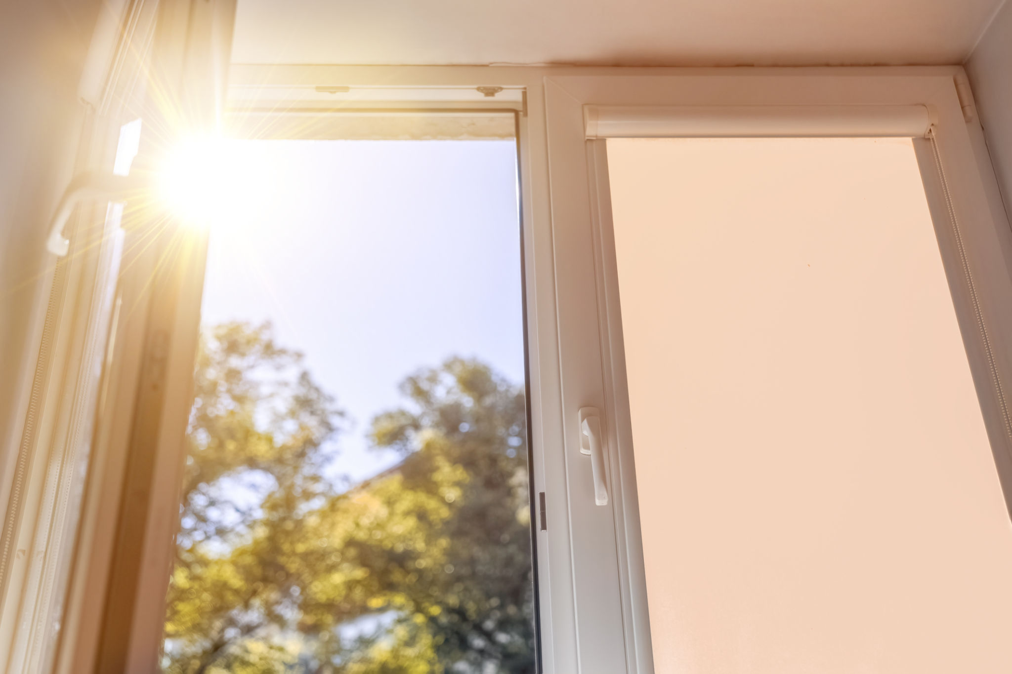 solar control window