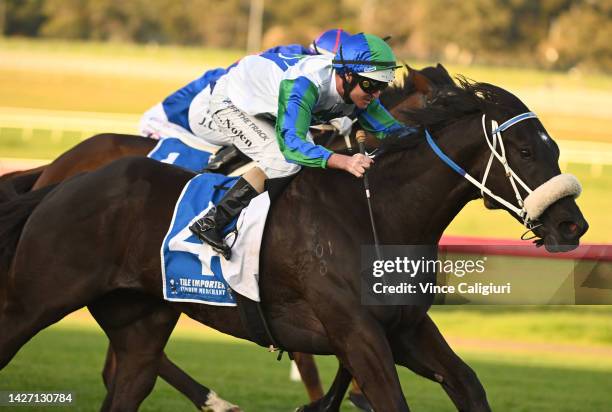 Luke Nolen riding I Wish I Win in Race 9, the Tile Importer Testa Rossa Stakes, during Melbourne Racing at Sandown Hillside on September 25, 2022 in...