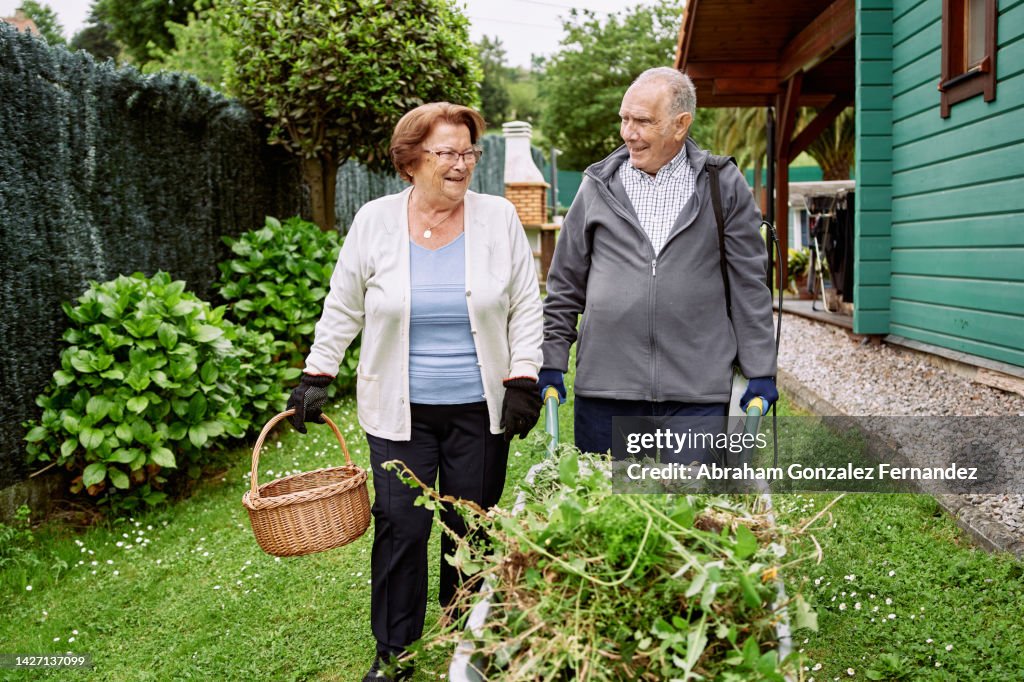 An elderly couple wheeling weeds out of their garden