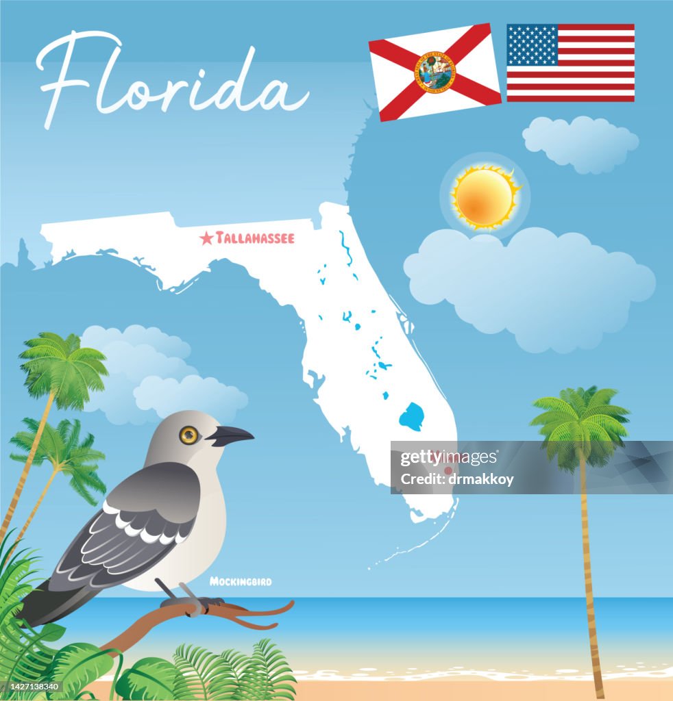 Mapa de Florida y Mockingbird