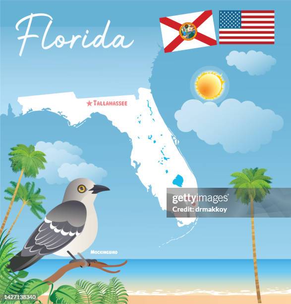 florida map and mockingbird - northern mockingbird stock illustrations