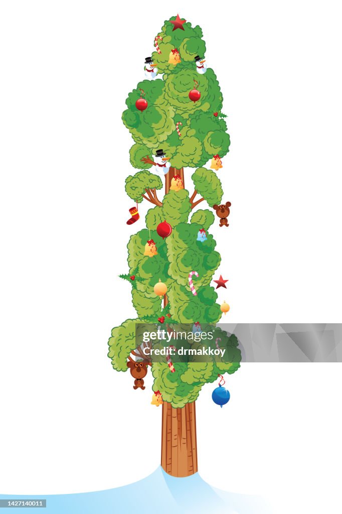 Sequoia tree