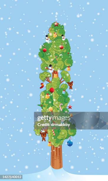 sequoia tree - sequoia national park winter stock illustrations