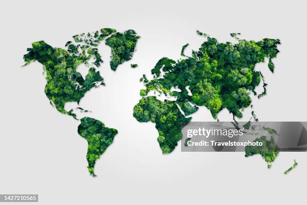 greener and  more sustainable world. world map shape filled with forest of green broadleaf trees. global responsibility for the environment. environmentally friendly business. - global solutions stock-fotos und bilder