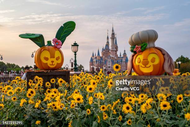 StellaLou and CookieAnn-shaped pumpkin lanterns are on display at Shanghai Disneyland to welcome the upcoming Halloween on September 23, 2022 in...
