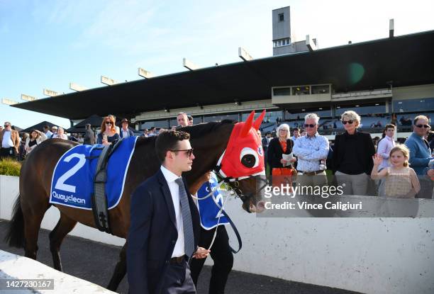 Matthew Chadwick parades I'm Thunderstruck before Race 7, the Quayclean Underwood Stakes, during Melbourne Racing at Sandown Hillside on September...