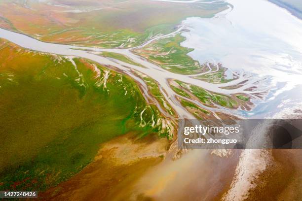 china's largest freshwater lake, winter scenery of poyang lake, dry river drone view - vein stock pictures, royalty-free photos & images