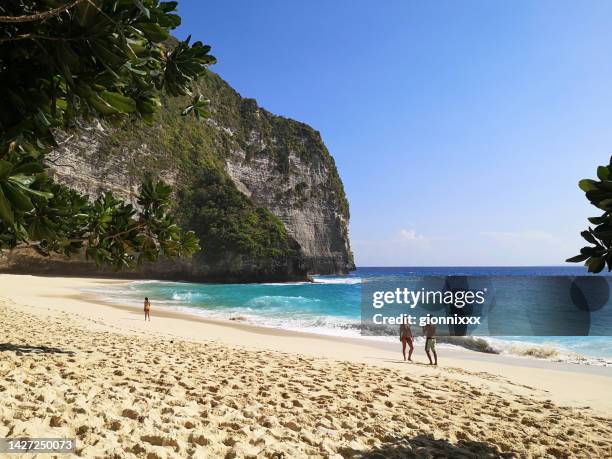 pinky beach, nusa penida, bali, indonesien - nusa penida stock-fotos und bilder