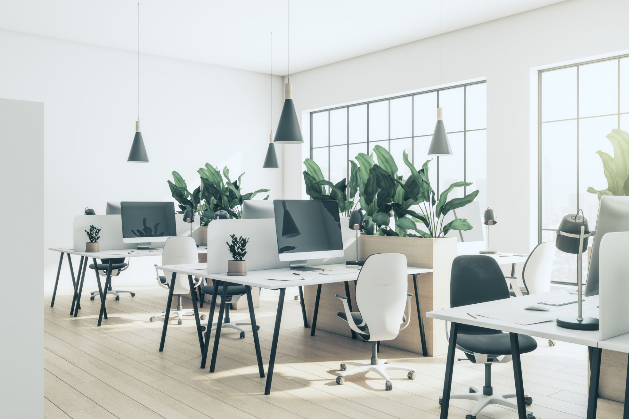 plants office desk