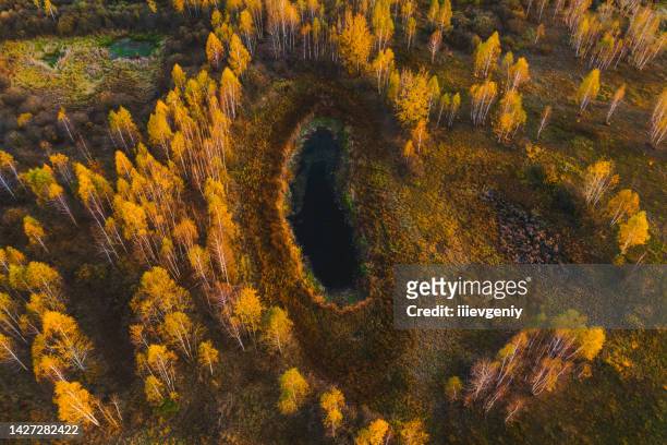 autumn drone photography. protection of water and nature. pond. lake. sunny day. sunset. flying above earth. nature background. atmospheric landscape. yellow trees in forest. october - water form stock pictures, royalty-free photos & images