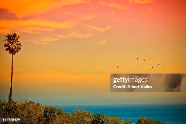 light of sun setting on  malibu beach - malibu stockfoto's en -beelden