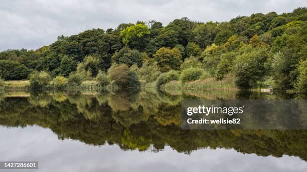 reflections in a lake - preston england stock-fotos und bilder