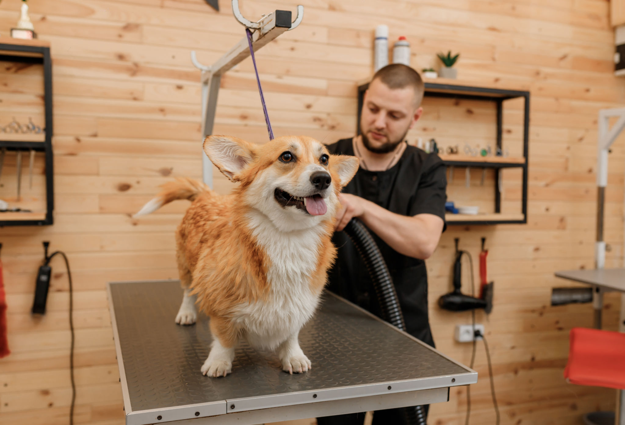 male grooming salon