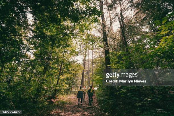 rear view of hikers with backpack exploring forest - "marilyn nieves" stock pictures, royalty-free photos & images
