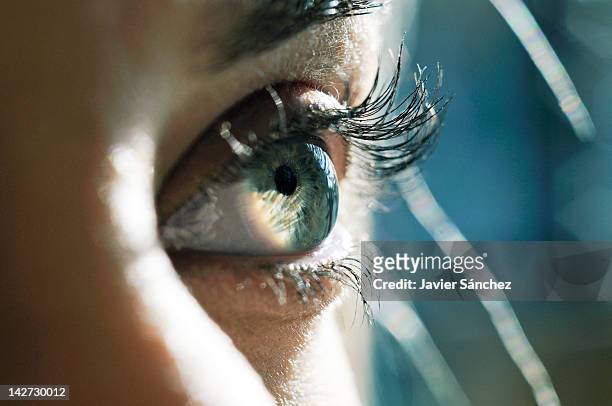 close up of a woman eye - focus concept stock-fotos und bilder