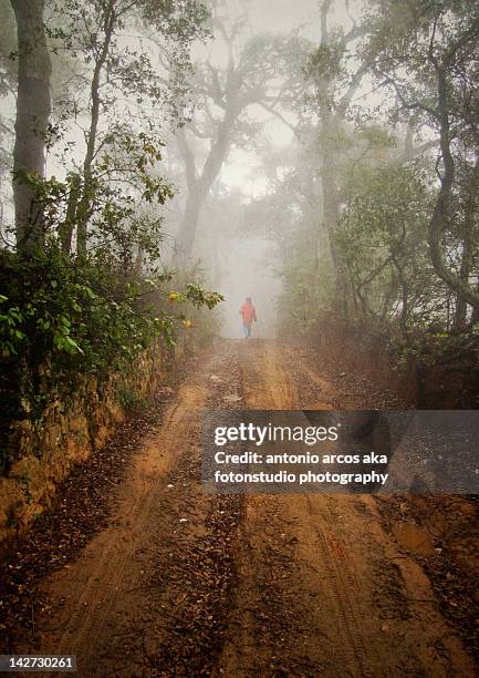 person walking on foggy path - cortegana fotografías e imágenes de stock