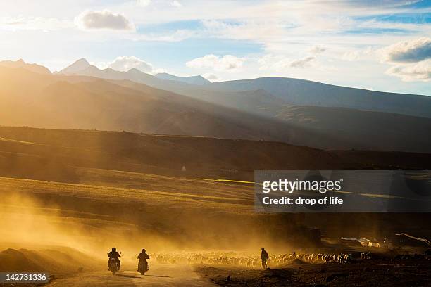 riders and shepherd on road - ladakh stockfoto's en -beelden