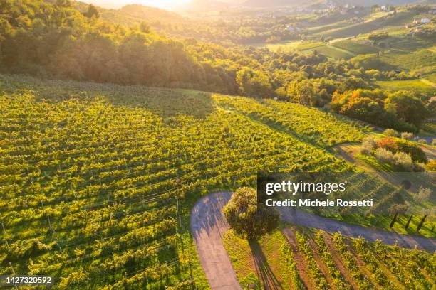 Tree Begrao 467 Bergamo Aerial Stock Photos, High-Res Pictures, and Images - Getty ...