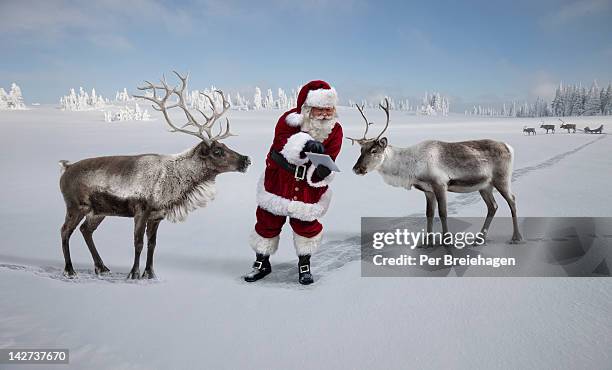 santa claus showing reindeer a map on tablet - reindeer stock pictures, royalty-free photos & images