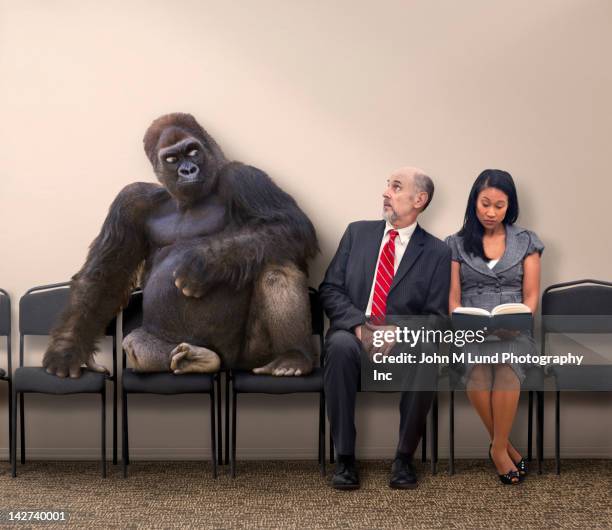 business people sitting next to gorilla - two men one woman fotografías e imágenes de stock