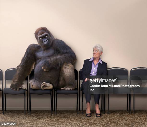 scared caucasian woman looking at gorilla - crazy old lady stock pictures, royalty-free photos & images