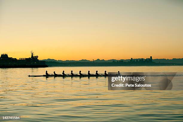 team rowing boat in bay - sculling crew stock pictures, royalty-free photos & images