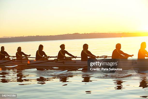 team rowing boat in bay - team rowing boat in bay stock pictures, royalty-free photos & images