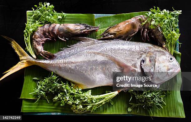 fresh tuna and tiger prawns - bijilo stock pictures, royalty-free photos & images