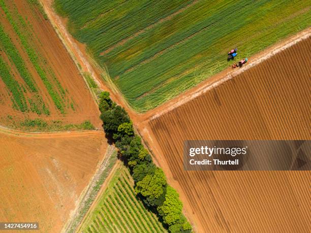 fertile farmland in northern new south wales, australia - farm australia stock pictures, royalty-free photos & images