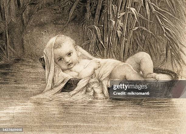 old engraved illustration of moses in the bulrushes - bush baby bildbanksfoton och bilder