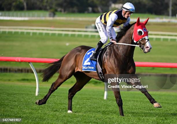 Mark Zahra riding I'm Thunderstruck parades to the barriers before Race 7, the Quayclean Underwood Stakes, during Melbourne Racing at Sandown...