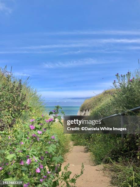 botany bay, margate, england - kent county stock pictures, royalty-free photos & images