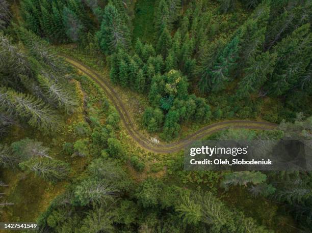 vista aérea de la carretera forestal - pinar fotografías e imágenes de stock