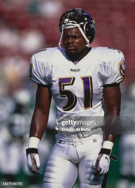 Cornell Brown, Left Outside Linebacker for the Baltimore Ravens looks on during the NFL American Football Conference pre season game against the New...