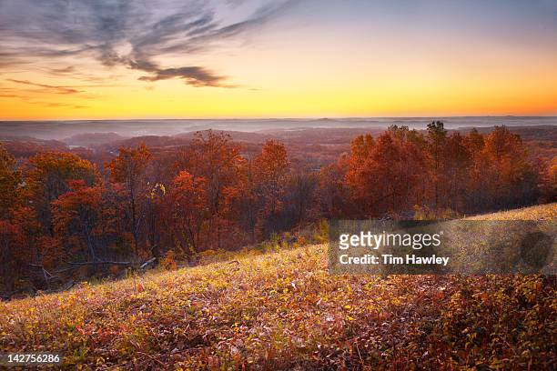 sunrise over the ozarks, fall color - springfield missouri stockfoto's en -beelden
