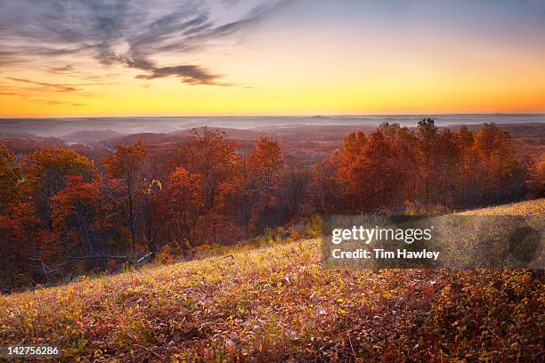 sunrise over the ozarks, fall color - ozark missouri stock pictures, royalty-free photos & images