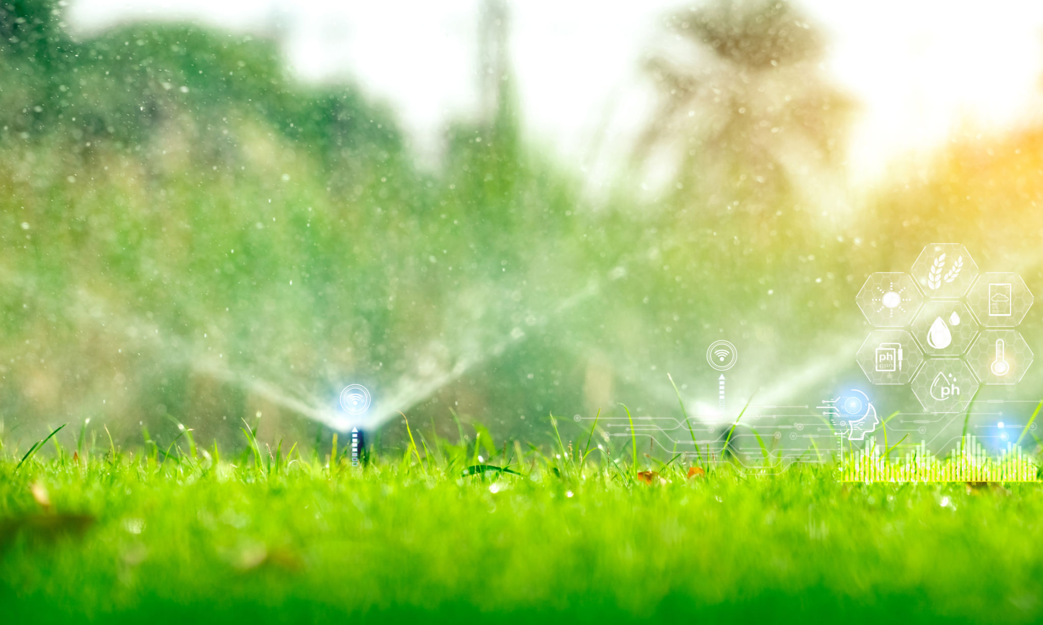 smart irrigation