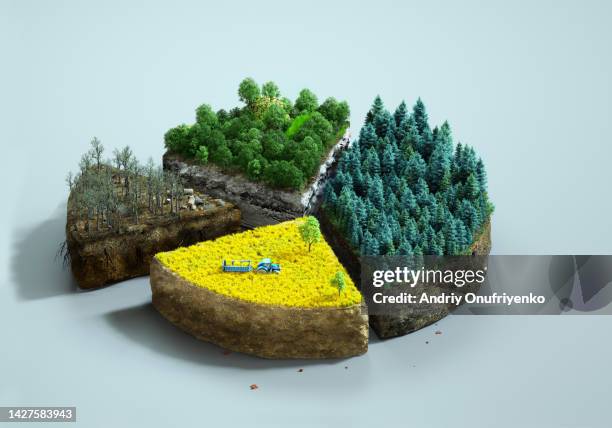 sustainability pie chart - shifting cultivation stock-fotos und bilder